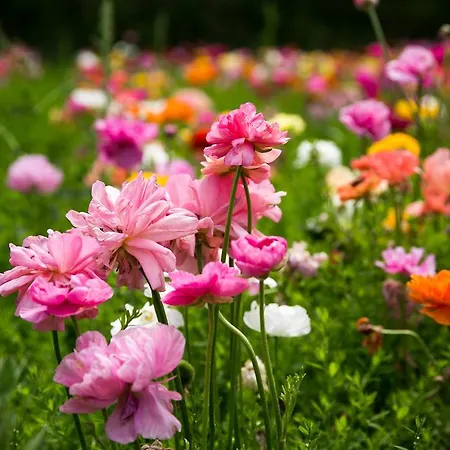 Le Moulin De 4* Valaurie