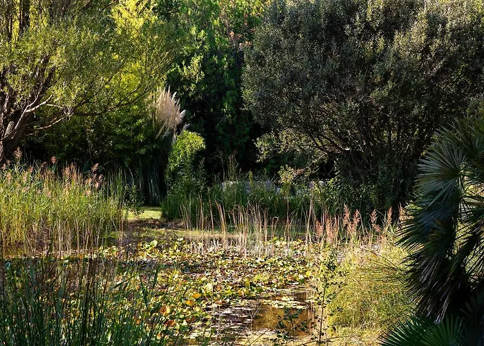 Le Moulin De Valaurie